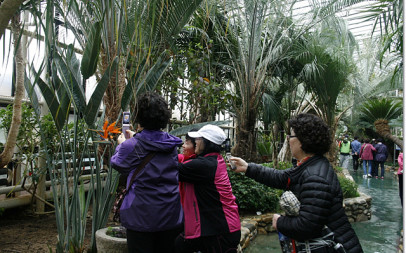 현장학습 부곡하와이 사진